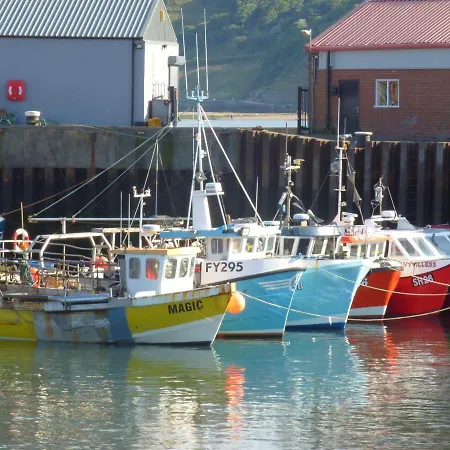 Wren Scarborough